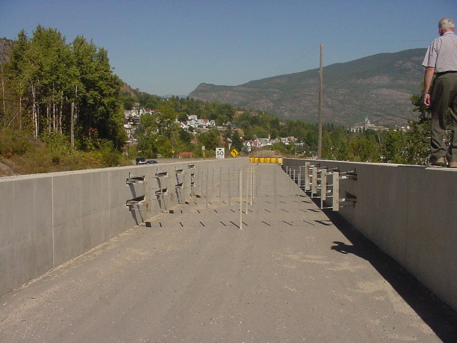 Vehicle Arresting Barrier Task Force 13